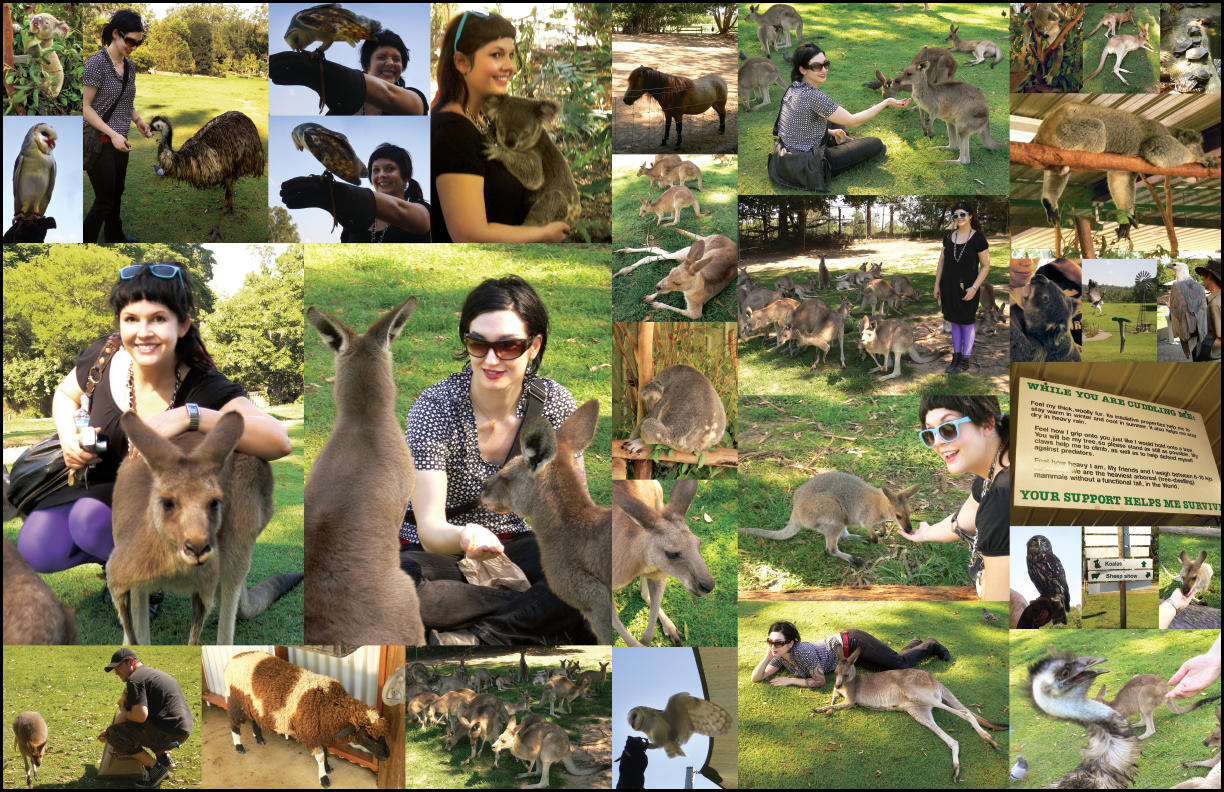 MSI Book Inside Spread 19