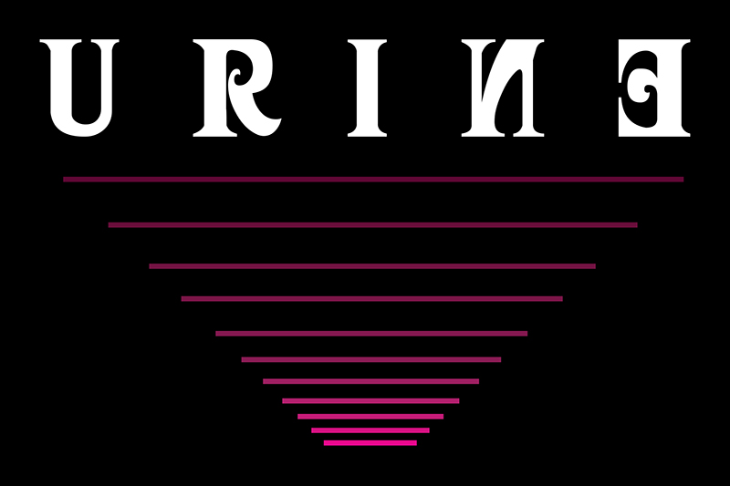 Logitech Skin Original 1