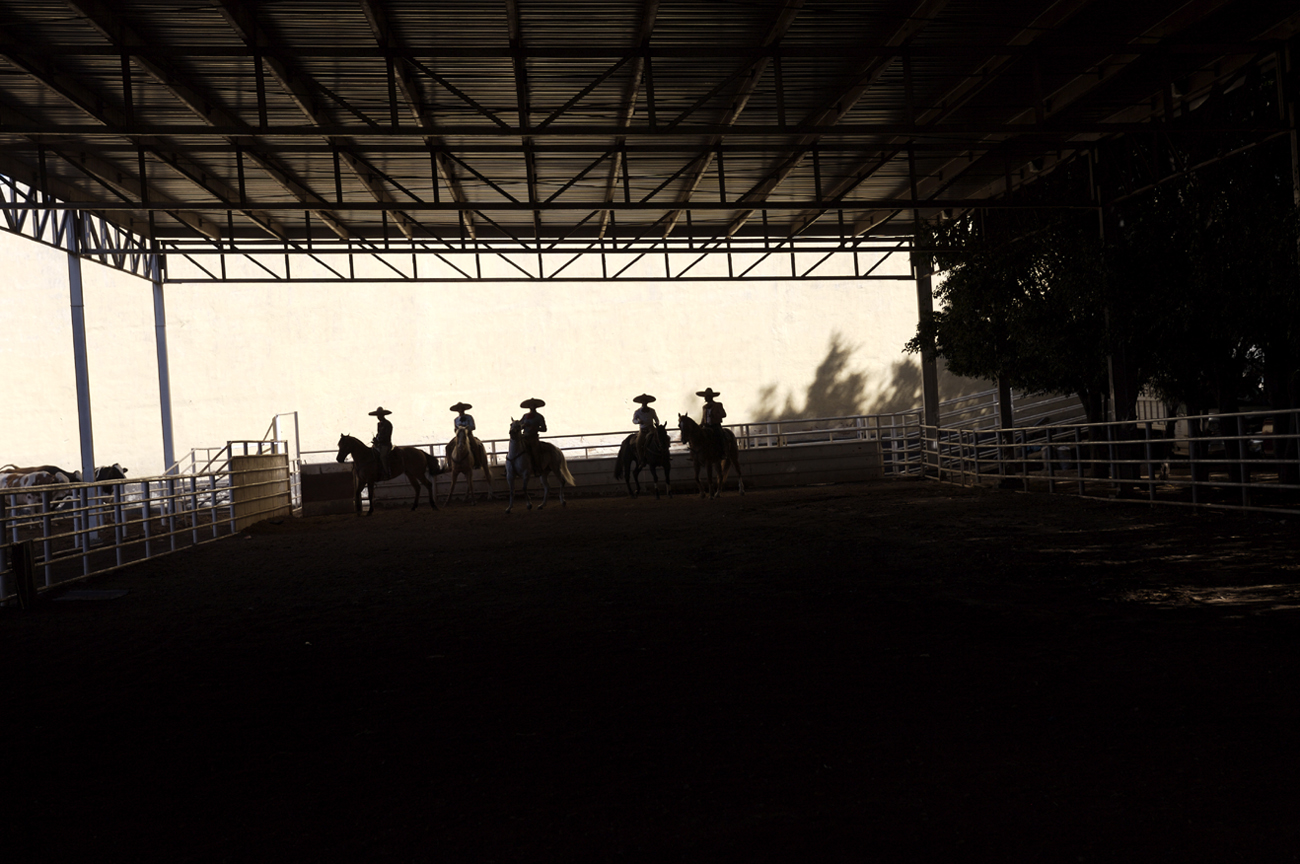 Jose Cuervo Tradition 1 Original