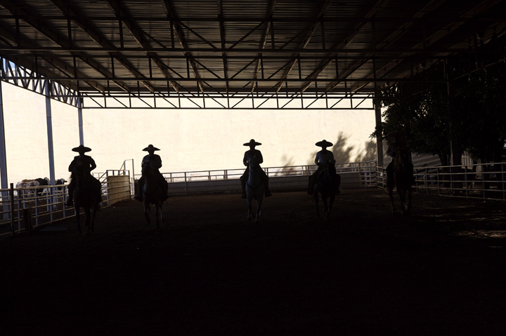 Jose Cuervo Tradition 2 Original