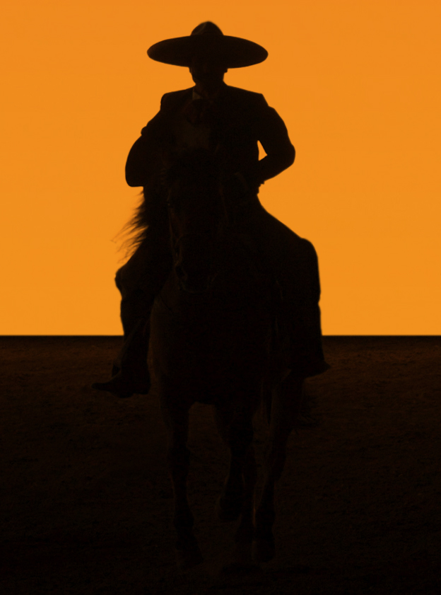 Jose Cuervo Tradition 2 Detail