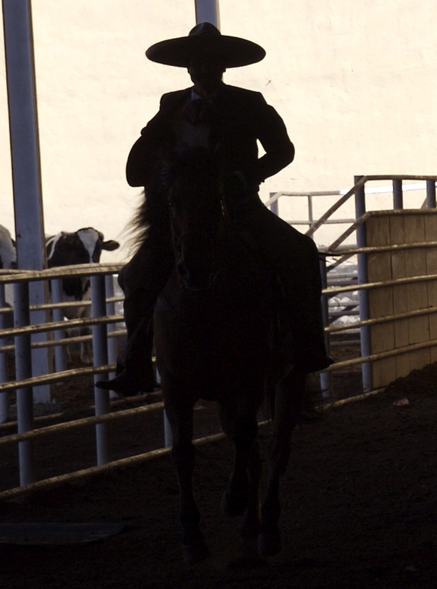 Jose Cuervo Tradition 2 Detail Original