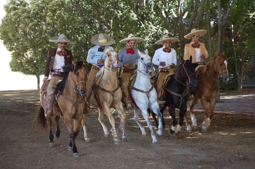 Jose Cuervo Tradition 3