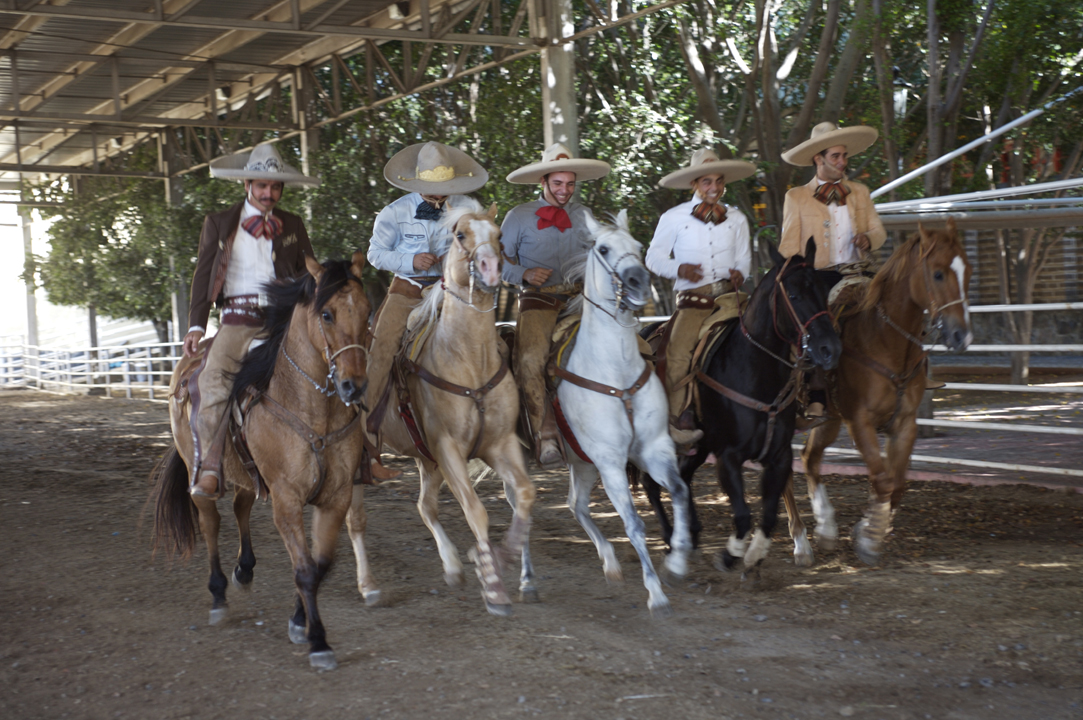 Jose Cuervo Tradition 3 Original