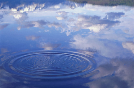 Reebok Pump Form Ad Original 3