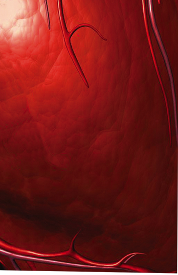 Reebok Pumping Heart Ad Original 2